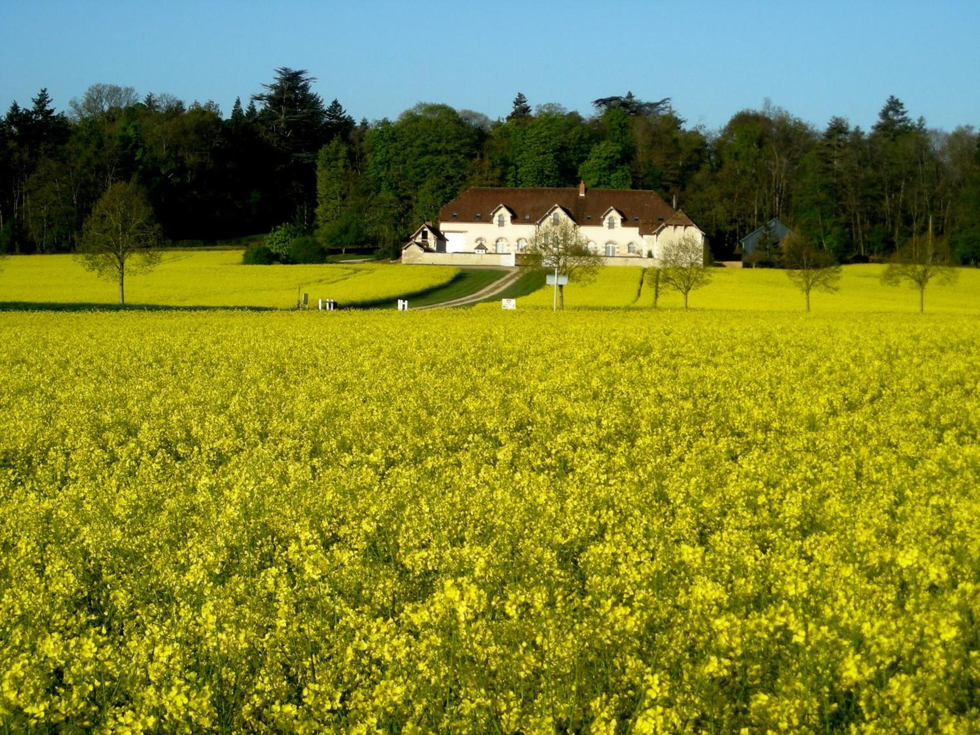 Domaine De La Maison Neuve Saint-Jean-Saint-Germain Εξωτερικό φωτογραφία