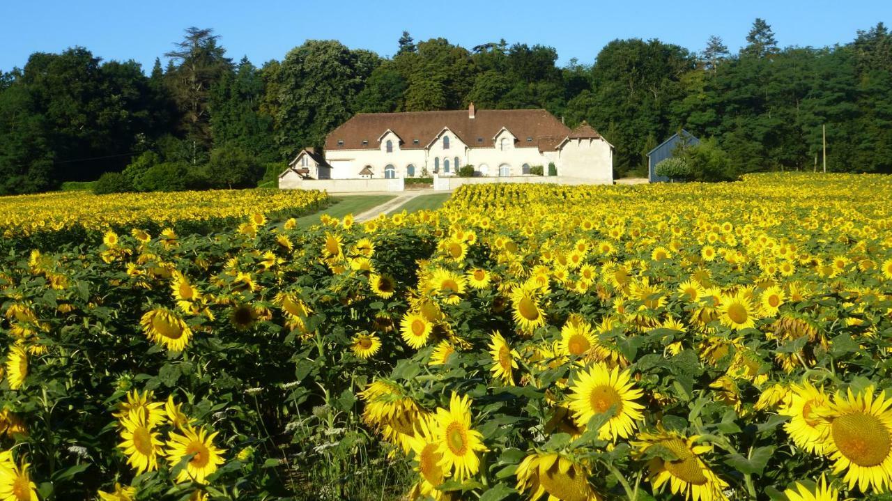 Domaine De La Maison Neuve Saint-Jean-Saint-Germain Εξωτερικό φωτογραφία