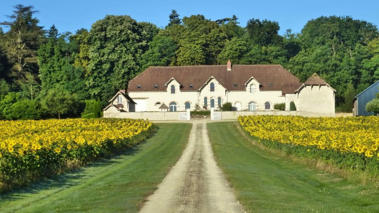Domaine De La Maison Neuve Saint-Jean-Saint-Germain Εξωτερικό φωτογραφία